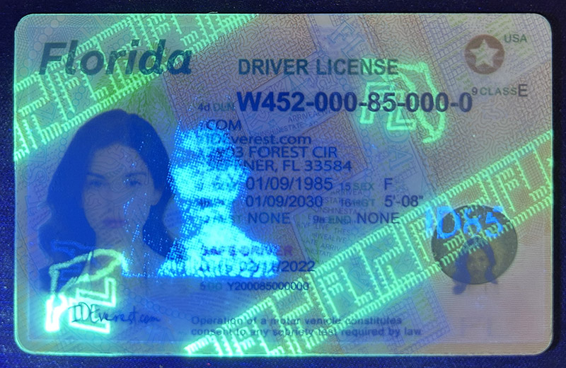 Florida Fake ID