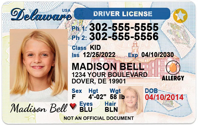 fake delaware id